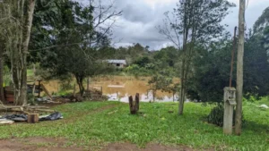 Operativo de retorno: desde las 14 trasladan pertenencias a las casas evacuadas en El Soberbio Operativo de retorno: desde las 14 trasladan pertenencias a las casas evacuadas en El Soberbio imagen-3