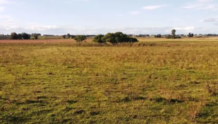 Intendentes piden a Arce Rojas Decut y Goerling rechazar la ley de extranjerización de la tierra Intendentes piden a Arce Rojas Decut y Goerling rechazar la ley de extranjerización de la tierra imagen-4