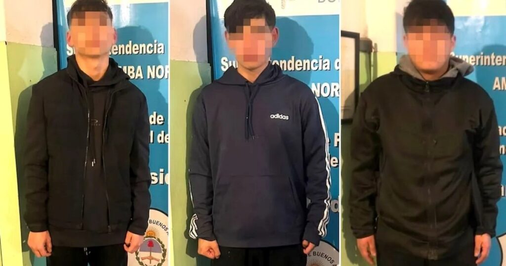 Detienen a tres menores por intentar robar una casa en San Isidro: los descubrió el dueño por las cámaras de seguridad Detienen a tres menores por intentar robar una casa en San Isidro: los descubrió el dueño por las cámaras de seguridad imagen-5