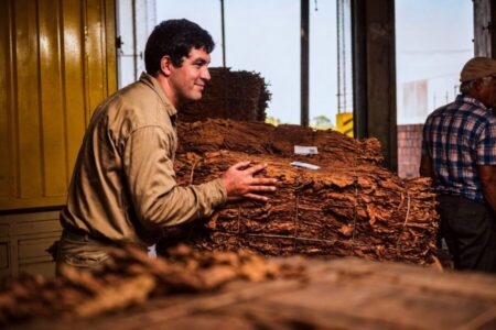 Misiones confirmó nuevo pago del FET superior a los $2.600 millones: “Un esfuerzo para acompañar al productor” Misiones confirmó nuevo pago del FET superior a los $2.600 millones: “Un esfuerzo para acompañar al productor” imagen-8