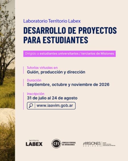 El IAAviM abre convocatoria a estudiantes misioneros El IAAviM abre convocatoria a estudiantes misioneros imagen-9