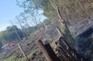 Bomberos controlaron un incendio de pastizales en las 2000 Hectáreas y evitaron que alcanzara viviendas imagen-1