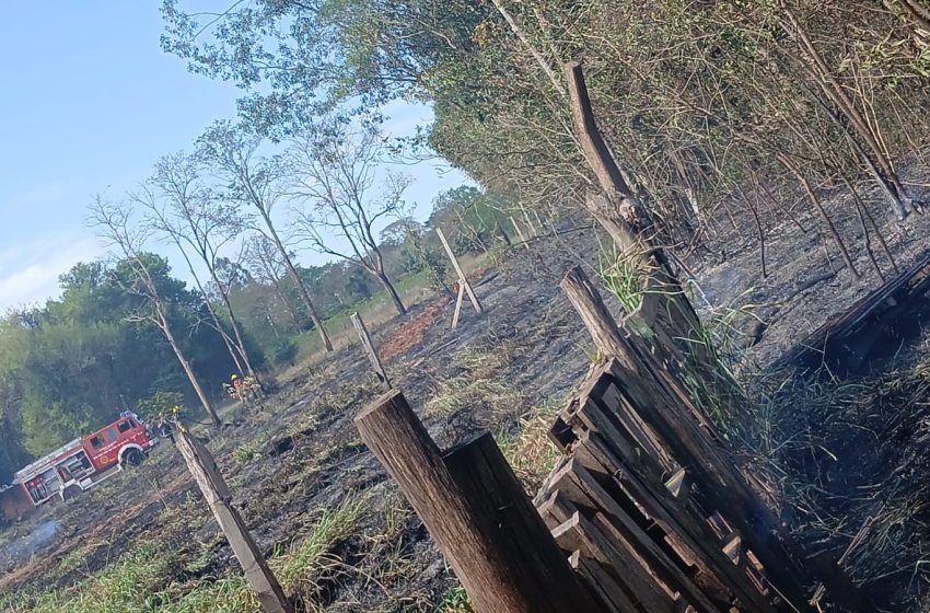 Bomberos controlaron un incendio de pastizales en las 2000 Hectáreas y evitaron que alcanzara viviendas Bomberos controlaron un incendio de pastizales en las 2000 Hectáreas y evitaron que alcanzara viviendas imagen-5