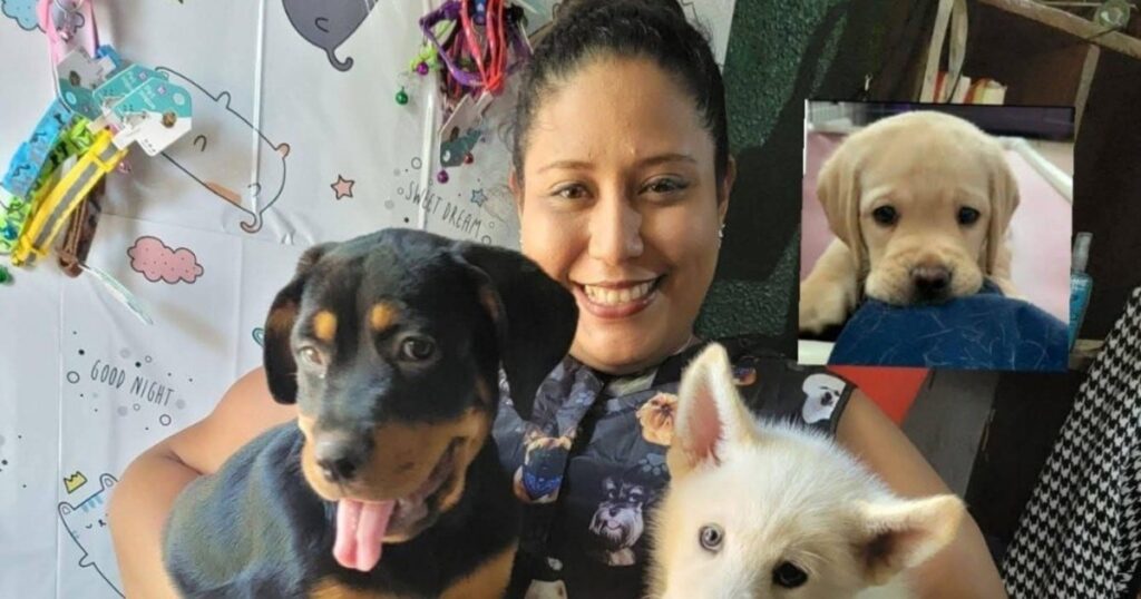 La desgarradora despedida a una joven veterinaria: su perra estuvo junto al féretro hasta el final imagen-5