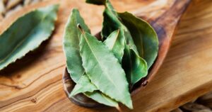 Llevar una hoja de laurel dentro de la funda del celular: para qué sirve y por qué lo recomienda el Feng Shui imagen-3