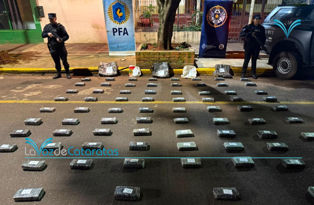 Incautaron 96 kilos de marihuana valuados en más de 280 millones de pesos Incautaron 96 kilos de marihuana valuados en más de 280 millones de pesos imagen-5