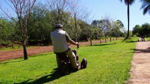 Apóstoles refuerza el mantenimiento de plazas y espacios verdes de la ciudad Apóstoles refuerza el mantenimiento de plazas y espacios verdes de la ciudad imagen-2