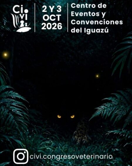 02 Octubre 2026 02 Octubre 2026 imagen-81