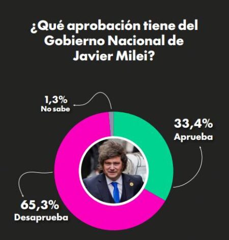 Encuesta nacional: el 65,3% desaprueba al Gobierno y seis de cada diez argentinos votarían por un cambio en 2027 imagen-15