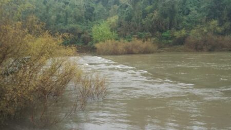 Cerraron el acceso al Parque Moconá por la crecida del arroyo Yabotí imagen-14