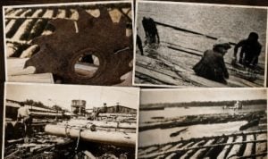 Entre Ríos | Con una muestra fotográfica histórica, en Federación homenajearán a los trabajadores de la madera Entre Ríos | Con una muestra fotográfica histórica, en Federación homenajearán a los trabajadores de la madera imagen-4