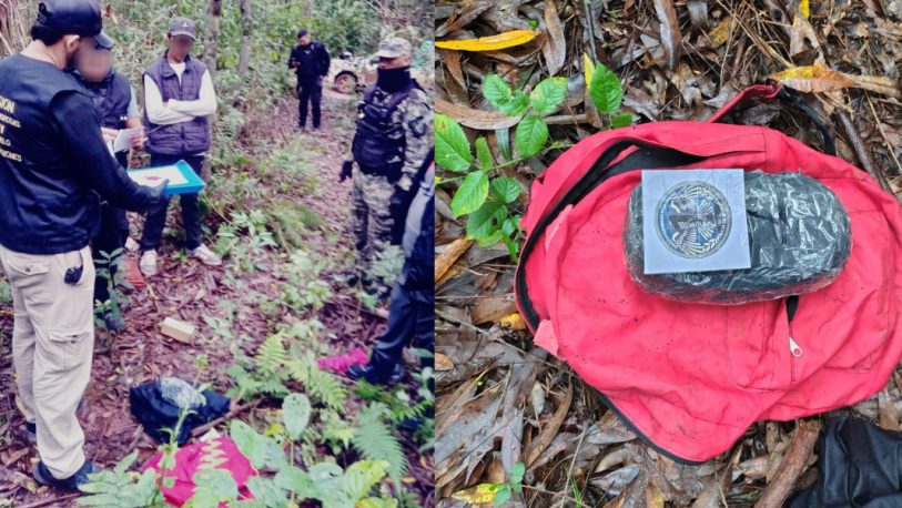 Frustraron un presunto intercambio de droga con un dealer en una zona de monte de Montecarlo Frustraron un presunto intercambio de droga con un dealer en una zona de monte de Montecarlo imagen-5