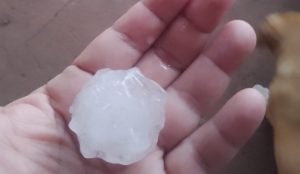 Volvió a caer granizo este domingo en algunas zonas de Misiones y advierten que el tiempo empeorará durante la madrugada y la mañana del lunes imagen-10