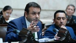 Mandioca: un triunfo para los productores misioneros y una decisión de la UCR que genera cuestionamientos Mandioca: un triunfo para los productores misioneros y una decisión de la UCR que genera cuestionamientos imagen-2