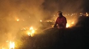 Bomberos trabajaron durante una hora para controlar un incendio de malezas en Garupá imagen-2
