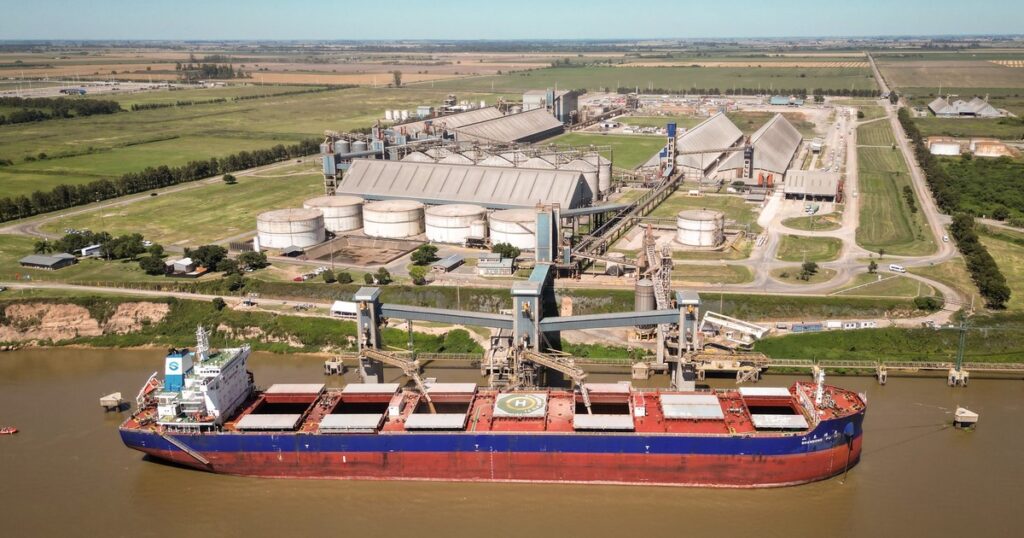 Hasta 100.000 dólares por barco: el paro de prácticos ya genera pérdidas millonarias imagen-96