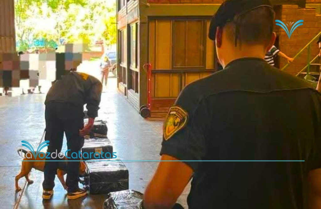 La Justicia Federal ordenó abrir tres encomiendas y hallaron más de 1.300 paquetes de cigarrillos ilegales La Justicia Federal ordenó abrir tres encomiendas y hallaron más de 1.300 paquetes de cigarrillos ilegales imagen-5