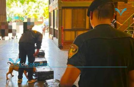 La Justicia Federal ordenó abrir tres encomiendas y hallaron más de 1.300 paquetes de cigarrillos ilegales La Justicia Federal ordenó abrir tres encomiendas y hallaron más de 1.300 paquetes de cigarrillos ilegales imagen-74