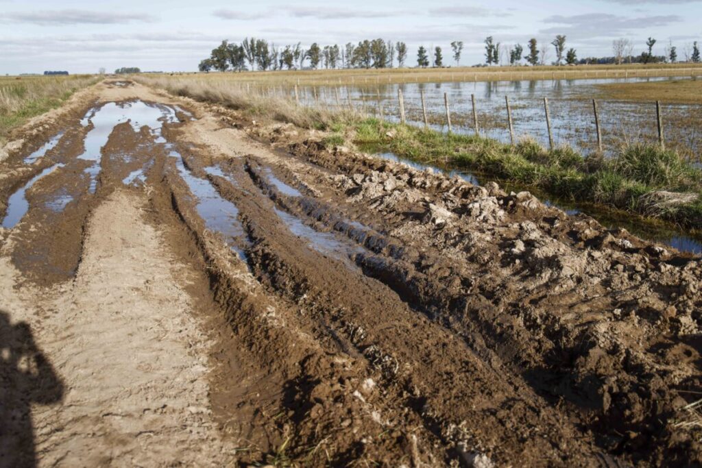 El Niño activó las alarmas en la provincia de Buenos Aires y piden acciones urgentes imagen-107