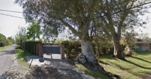 Investigan la misteriosa muerte de una mujer en Villa Elisa: la encontraron con la cabeza dentro de un pozo en el patio de su casa imagen-3