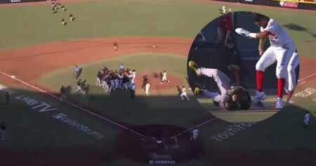 Video: batalla campal en la Liga Mexicana de Beisbol imagen-10