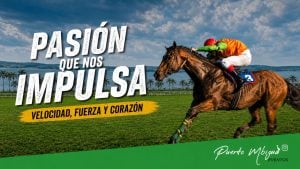 Ticket Misiones | Puerto Mbiguá inaugurará su nueva pista hípica con dos jornadas de carreras frente al río Paraná imagen-4