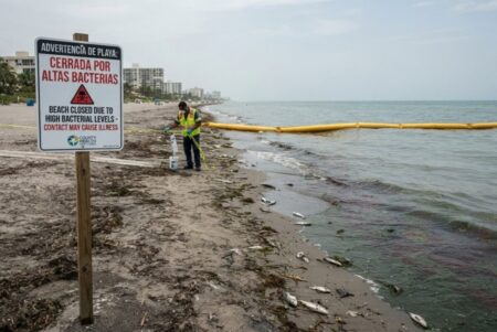 Alerta oficial en la costa: confirman presencia de bacteria “devoradora de carne” en Luisiana imagen-9