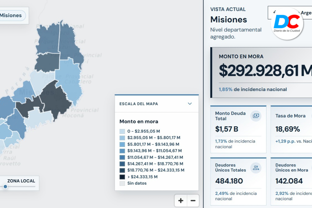Misiones tiene más de 142 mil deudores en mora y el monto total supera los 300 mil millones de pesos Misiones tiene más de 142 mil deudores en mora y el monto total supera los 300 mil millones de pesos imagen-5