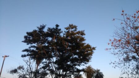 Lunes con tiempo agradable en Misiones y lluvias aisladas en el norte Lunes con tiempo agradable en Misiones y lluvias aisladas en el norte imagen-129