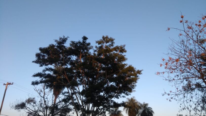 Lunes con tiempo agradable en Misiones y lluvias aisladas en el norte Lunes con tiempo agradable en Misiones y lluvias aisladas en el norte imagen-5
