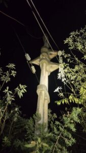 Se repuso línea troncal afectada por la caída de un árbol en Andresito Se repuso línea troncal afectada por la caída de un árbol en Andresito imagen-2