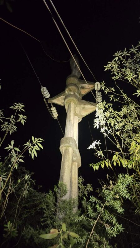 Se repuso línea troncal afectada por la caída de un árbol en Andresito imagen-5