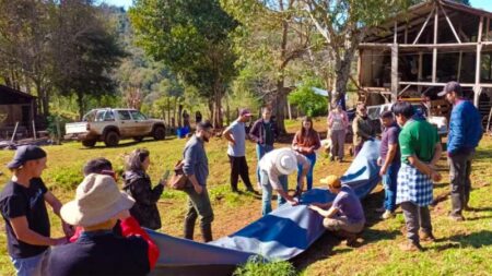 Cuatro chacras de Pozo Azul obtuvieron la primera Certificación Participativa de San Pedro imagen-12