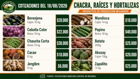Mercado Central de Posadas: los precios de referencia para frutas y verduras esta semana imagen-18