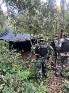 Montecarlo: rastrearon huellas en el monte y desmantelaron dos campamentos de cazadores furtivos imagen-3