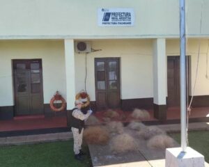 Prefectura secuestró 350 metros de redes en un nuevo operativo contra la pesca furtiva imagen-2
