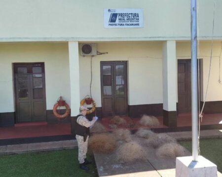 Prefectura secuestró 350 metros de redes en un nuevo operativo contra la pesca furtiva imagen-71