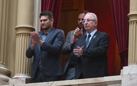 Passalacqua resaltó la media sanción al proyecto para reducir el IVA a la fécula de mandioca: “Es un paso histórico” imagen-14