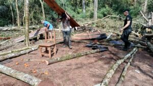 Campo Ramón: una familia se retiró de una chacra tras una denuncia por usurpación y tala de madera nativa Campo Ramón: una familia se retiró de una chacra tras una denuncia por usurpación y tala de madera nativa imagen-76