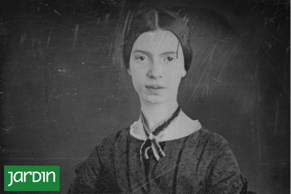 El herbario de Emily Dickinson, disponible 180 años después de su creación imagen-5