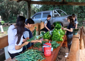 Escuelas agrotécnicas de Misiones sostienen su formación con apoyo provincial ante la reducción de fondos nacionales Escuelas agrotécnicas de Misiones sostienen su formación con apoyo provincial ante la reducción de fondos nacionales imagen-2