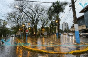 Alerta por tormentas y fuertes ráfagas: el viernes llegará un frente frío con descenso de temperatura imagen-72