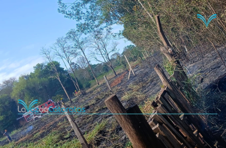 Bomberos evitaron que un incendio de pastizal en las 2000 hectáreas alcanzara viviendas Bomberos evitaron que un incendio de pastizal en las 2000 hectáreas alcanzara viviendas imagen-132