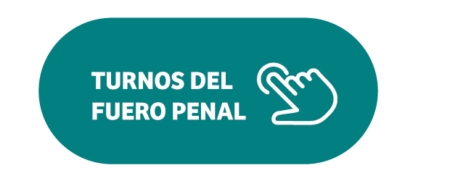 Turnos del Fuero Penal - Mes de Agosto 2026 imagen-85