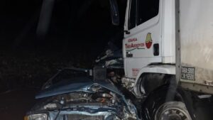 Tragedia en la ruta: siete muertos tras un brutal choque frontal entre un auto y un camión Tragedia en la ruta: siete muertos tras un brutal choque frontal entre un auto y un camión imagen-1