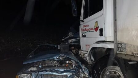 Tragedia en la ruta: siete muertos tras un brutal choque frontal entre un auto y un camión imagen-7