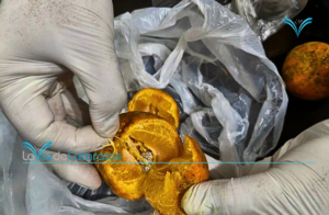 Llevó limones para un detenido y descubrieron que contenían cocaína imagen-3