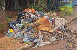 Las denuncias por basura, ruidos molestos y baldíos abandonados superan las 15 por día imagen-1