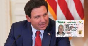 Confirmed | Florida government will inspect driver's licenses car by car that lack the "NC" stamp: what it means imagen-4
