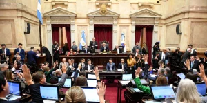 El Senado aprobó la ley de propiedad privada pero el oficialismo debió ceder y se mantiene la protección de tierras tras incendios imagen-10
